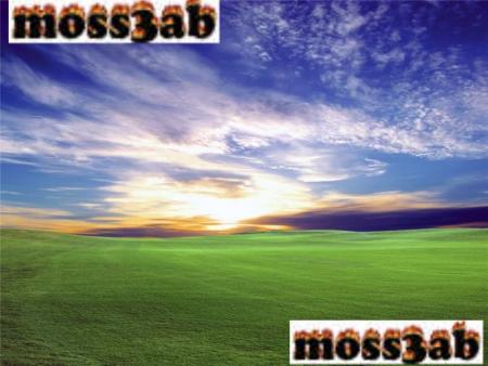 moss3ab